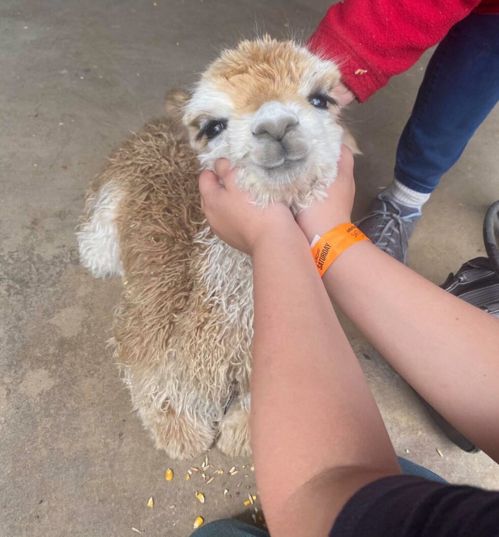 Things To Do Beavers Bend Marina Broken Bow, OK