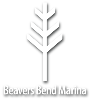 BBM-logo-bold-type-tree-rev+shad Beavers Bend Marina by Topside Marinas live well image