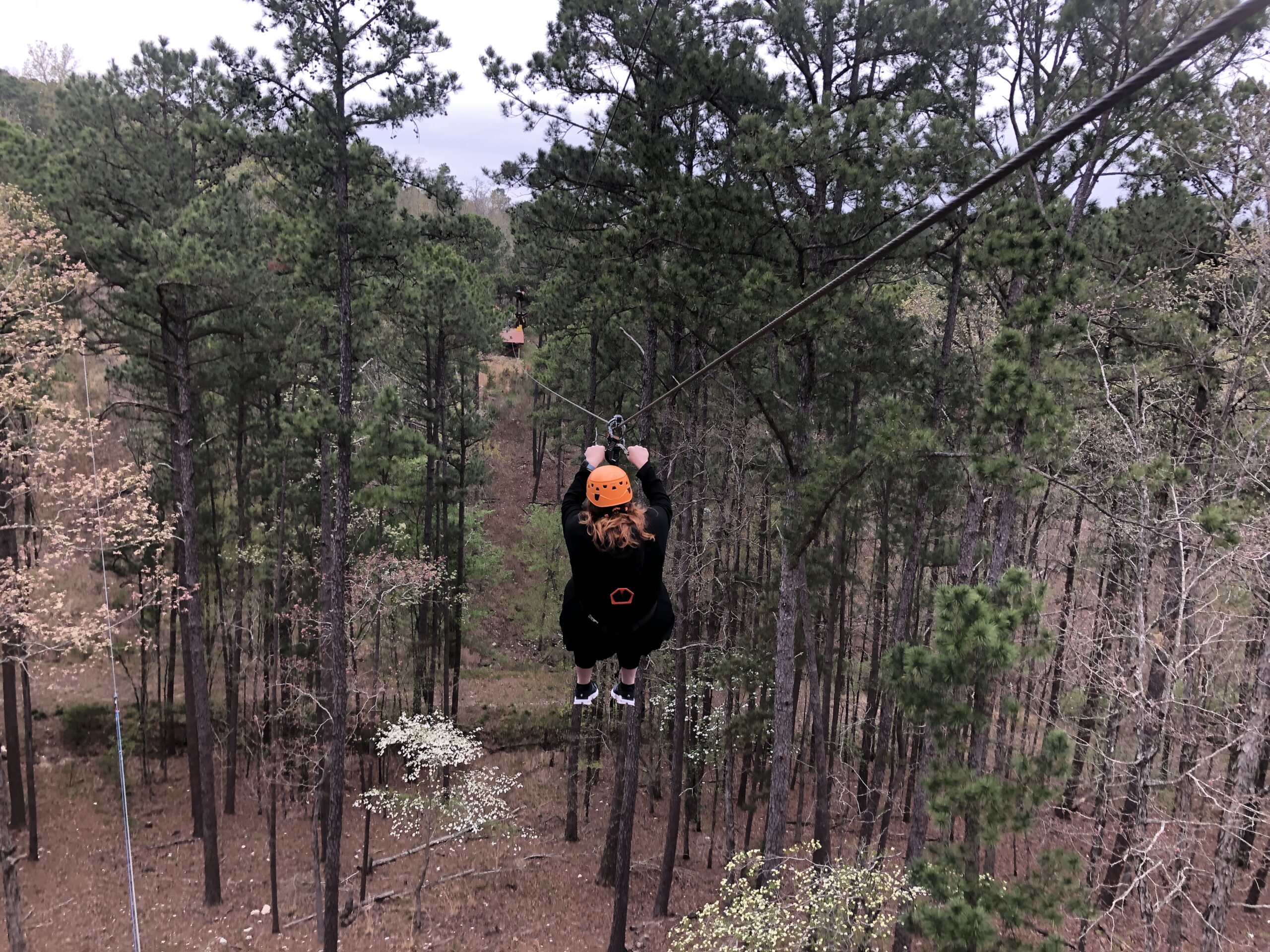 Things To Do Beavers Bend Marina Broken Bow, OK